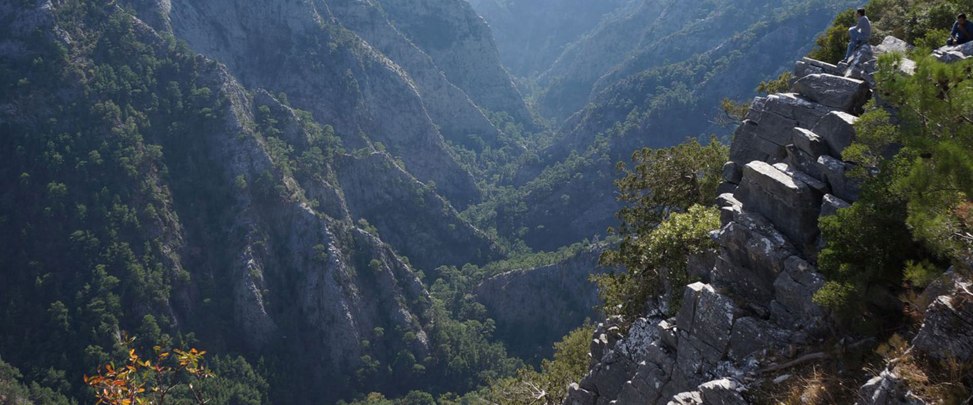 Kazdağı Endemik Bitkileri