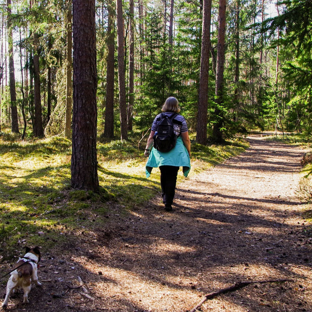 Breathtaking Walking Routes