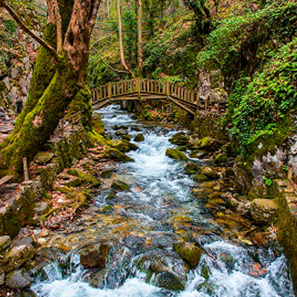 Source of cold waters; Ayazmapari Nature Park